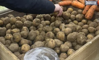 Снижение цен на продукты в Актобе: какие именно и на сколько