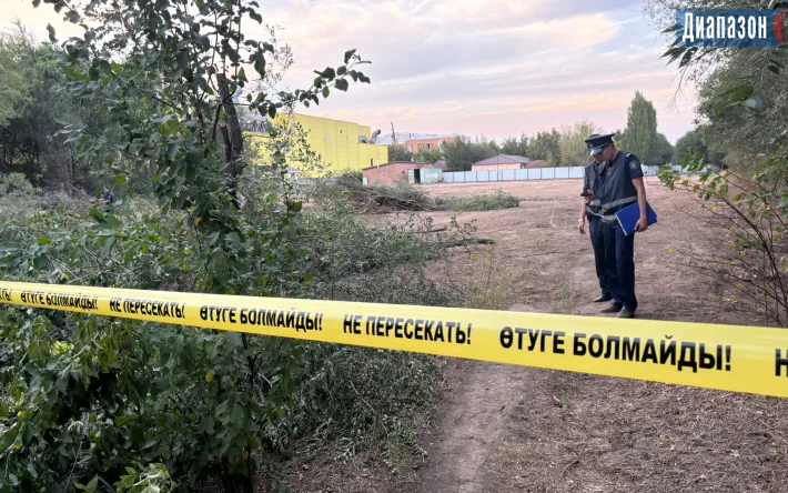 Деревья у Триатлон-парка продолжают рубить: даже на государственной земле Актобе