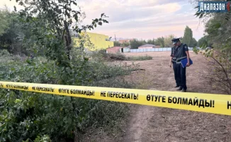 Деревья у Триатлон-парка продолжают рубить: даже на государственной земле
