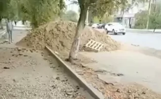 Когда завершится укладка тротуарной плитки около облакимата?