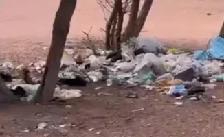 На берегу водохранилища: природа или свалка?