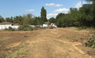 В центре города снесли большие деревья, что вызвало опасения у местных жителей. Другим деревьям в этом районе также грозит опасность из-за угрозы падения и ухудшения состояния. Местные экологи выражают обеспокоенность по поводу утраты зелёных насаждений и
