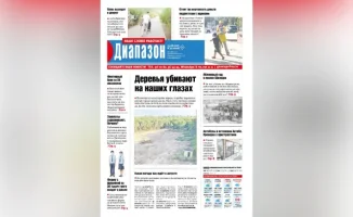Город под ножом: как вырубка деревьев превращает зеленые легкие в серые пустыни