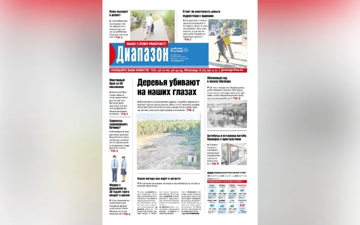 Город под ножом: как вырубка деревьев превращает зеленые легкие в серые пустыни Актобе